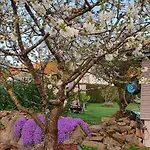 Apartman Ferienwohnung-panoramablick-kuessaberg