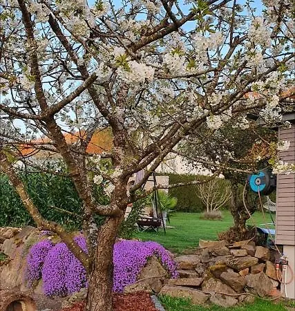 شقة Ferienwohnung-panoramablick-kuessaberg